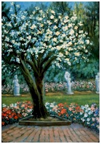 Pear Tree in Spring, Oregon