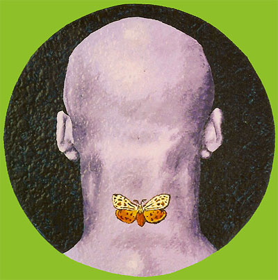 Head with Moth.