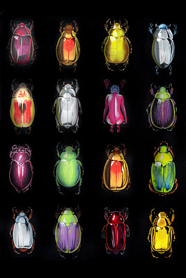 Scarabs.