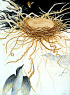 Conceptual Nature Drawings by Suzanne Stryk