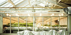 Simscape / Planting and measuring the growth in Agricultural module, 2004