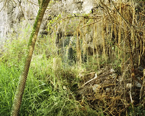 Biosphere 2 / Savanna, 2009