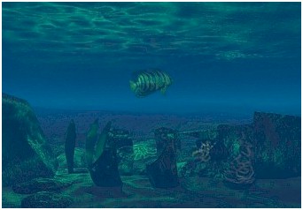 Undersea or Old Ship Becomes New Life