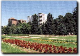 Cheesman Park and condos.