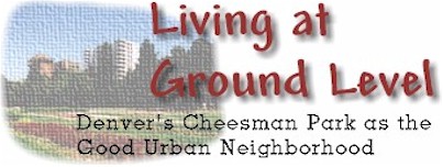 Living at Ground Level, by Larry Borowsky
