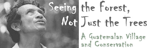 Seeing the Forest, Not Just the Trees: A Guatemalan Village and Conservation, by Wendy Call