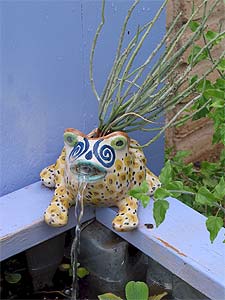 image, The infamous frog fountain in the Calhoun's yard.