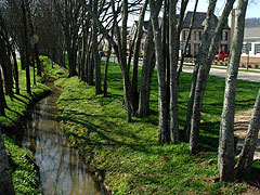 Preserved drainage ditch.