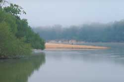 Georgia's Altahama River.