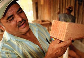 A mill worker inspects lumber in Honduras.