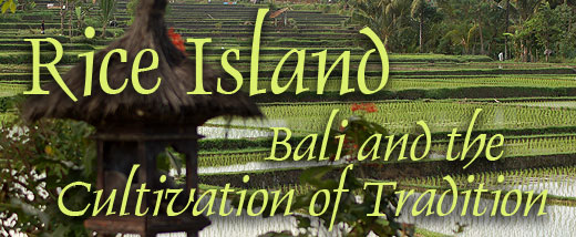 Rice Island: Bali and the Cultivation of Tradition