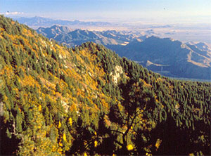 Pinale&ntilde;o Mountains.