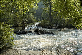 Sweetwater Creek State Park.