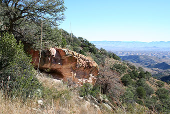 Looking south into Sonora, Mexico from the Tumacacori Highlands.