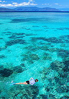 Snorkler among coral reerfs.