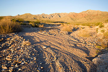 Arroyo at Franklin Mountain State Park.
