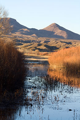 Apache del Bosque on the Rio Grande in New Mexico