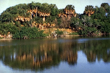 Southmost Preserve in south Texas.