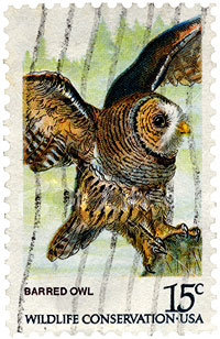 Barred Owl Wildife Conservation Stamp