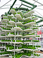 Isn't it Time to Dig Vertical Farming? by Chris Bradford