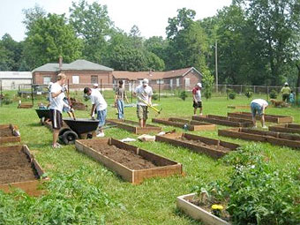 Community garden