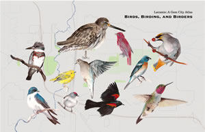 "Birds, Birding, and Birders" by Tshering Dema L, Elizabeth Cochran, and Ben Pease