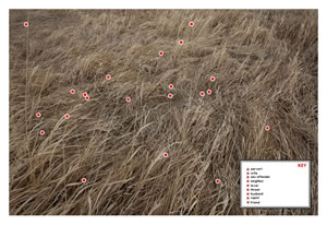 "Cartographic Collapse II" by Irina Zhorov and Tristan Ahtone