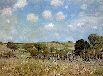 Too dry for trees....