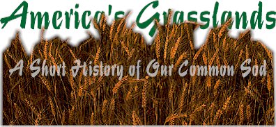 America's Grasslands:  A Short History of Our Common Sod by John Perry