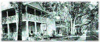 Figure 8, Hedgerow Trees as Street Trees.