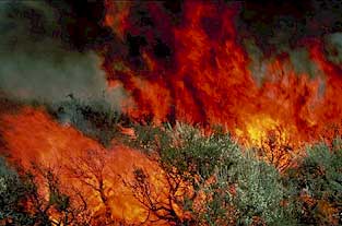 image, A brush fire rages in the West's early summer heat.