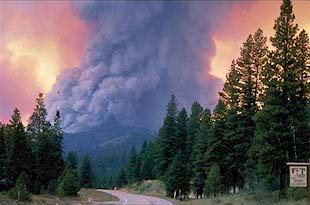 image, A mountain is engulfed in smoke and flame.