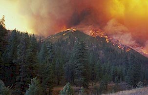 image, Mountain with wildfire.  Photo courtesy Bureau of Land Management. 