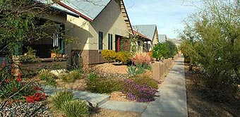 Bungalow style homes in Civano.
