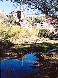 Davidson Canyon.