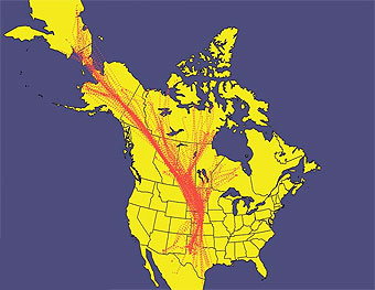 North American Central Fyway noting Sandhill crane migration routes. 