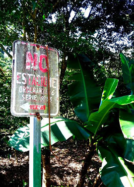 A faded No Parking sign marks the start  of a coffee plantation high up in the  Puerto Rican mountains.