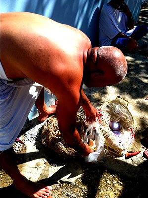A Puerto Rican fisherman cleans his net.
