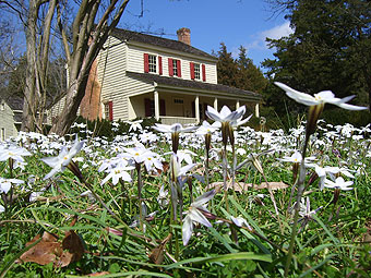 Walnut Grove Plantation manor house in spring