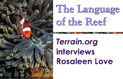 The Language of the Reef : Terrain.org interviews Rosaleen Love.