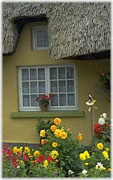 Cottage and flowers in Ireland.