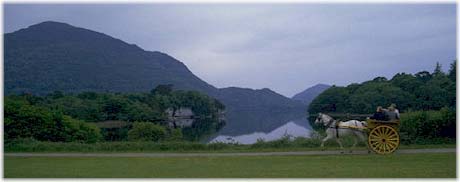 Horse and buggy in Ireland.