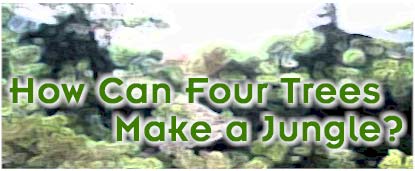How Can Four Trees Make a Jungle? by Pramod Parajuli