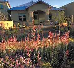 Calhoun house from front.