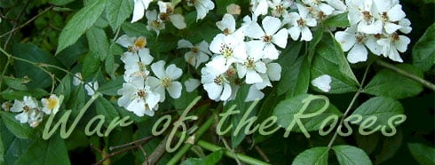 War of the Roses
