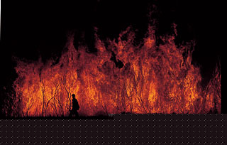 Fire with firefighter, evening.