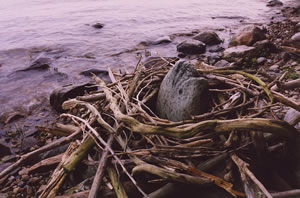 Lake Champlain : Willsboro Point, New York, U.S.A.