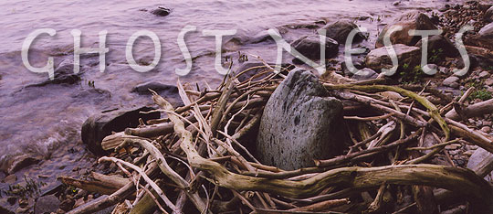 Ghost Nests