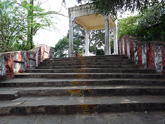 Dog on stairs to temple.