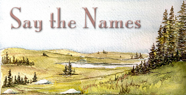 Say the Names
